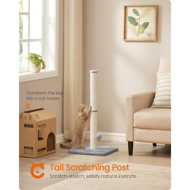 Scratching Post