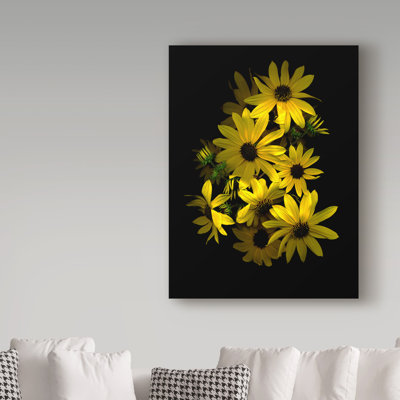 «Black Eye Susan» par Dosta, impression sur toile tendue