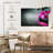 Harnek Spa Fusion-107524940