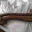 Customer photo 4 of 4