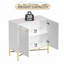 Armoire d'appoint 2 portes