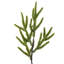 Artificial Pine Christmas Tree-814404349