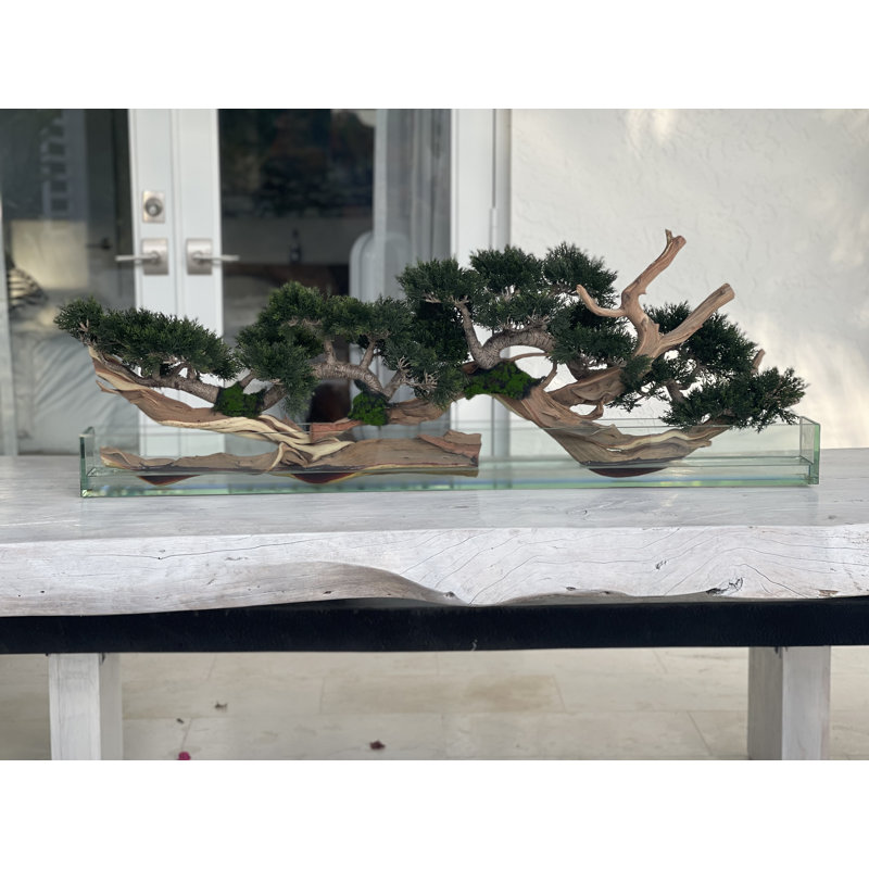 Faux Bonsai Tree in Planter, Light Green, 10" H x 52" W x 8" D