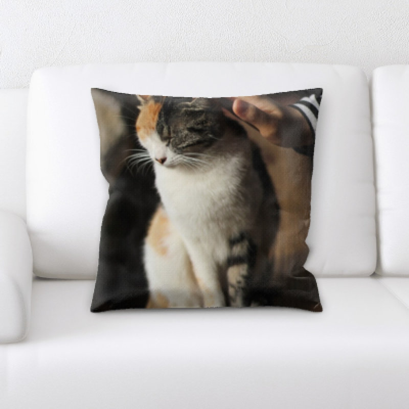 Coussin décoratif animal Eaman