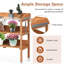 Achazia Fir Wood Potting Bench