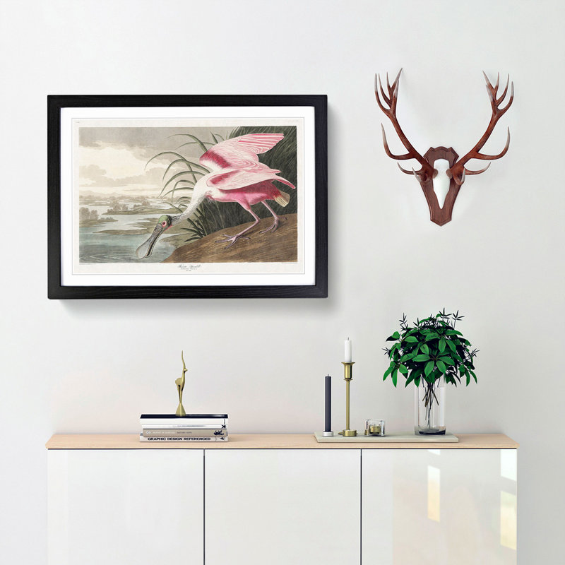 Roseate Spoonbill by John James Audubon - Picture Frame Graphic Art Print, 50cm H x 76cm W x 2cm D, Black