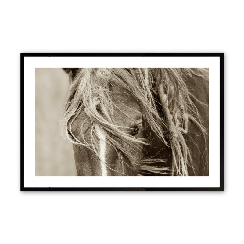 Coulston Graceful Majesty par Lisa Dearing, Noir satiné, H 16 po x l 20 po x P 1,25 po