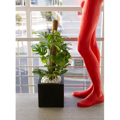 Pot de fleurs en résine Nano