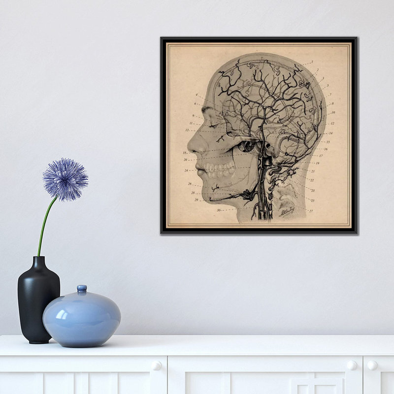 "anatomie of human head" , impression sur toile, H 18 po x l 18 po x P 1,5 po, Toile avec cadre noir, Pas de tapis