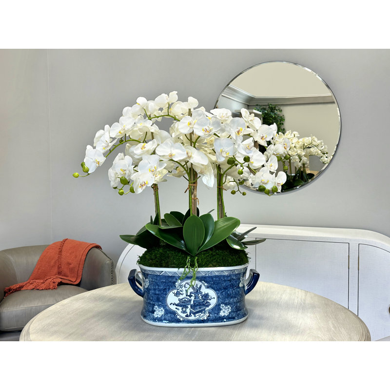 Orchid Arrangement in Decorative Ceramic Planter