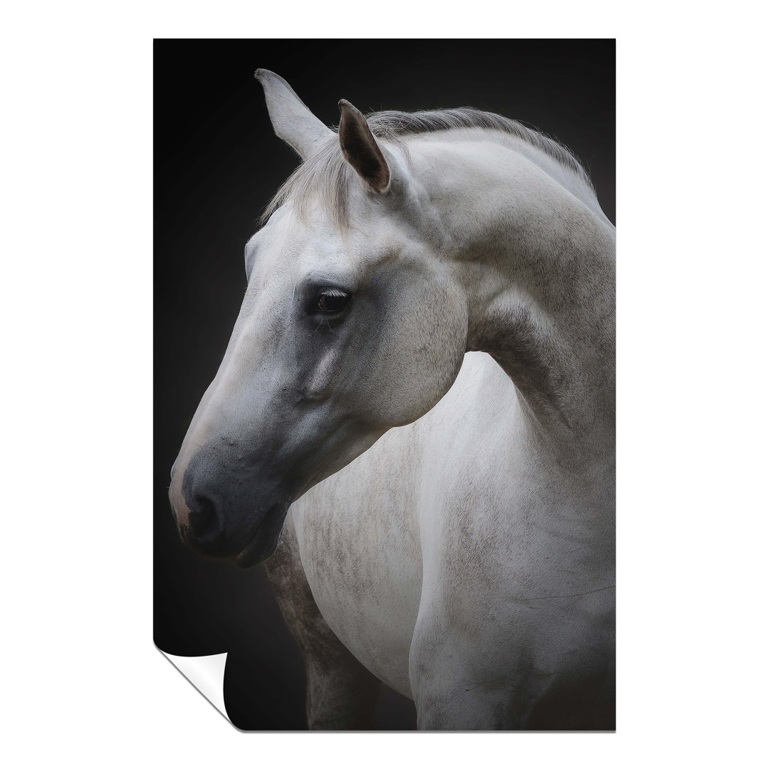 Graceful White Horse Portrait - No Frame Print