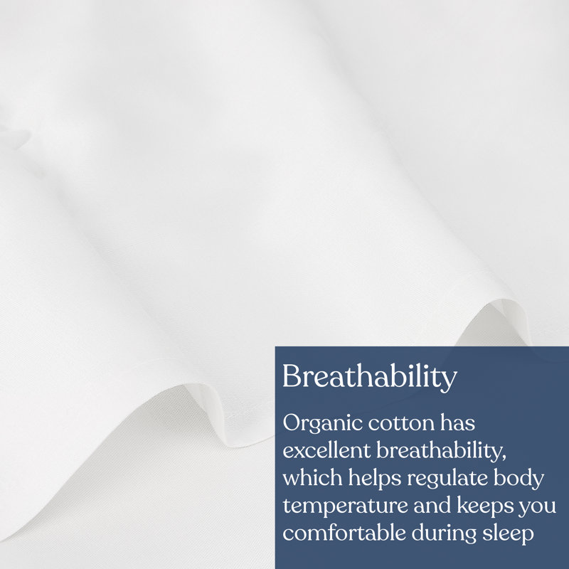 Delara GOTS Certified 100% Organic Cotton Sateen Flat Sheet, 400TC Long Staple, Soft, Silky, Breathable & Moisture-Wicking