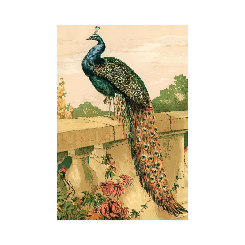 «Peacock» par Piddix - reproduction sur toile tendue, H 12 po x l 8 po x P 0,75 po