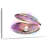 Pearl Oyster-120858031