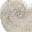 11.5X6.7X7.7" Sand And Cement Nautilus Shell Planter With Textured Beige Finish