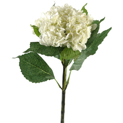 Hydrangea Arrangement