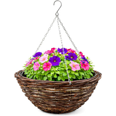 Harnden Hanging Planter