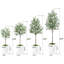 Paislee Artificial Olive Tree, Faux Olive Tree with Tall White Planter, Realistic Leaves-805293681