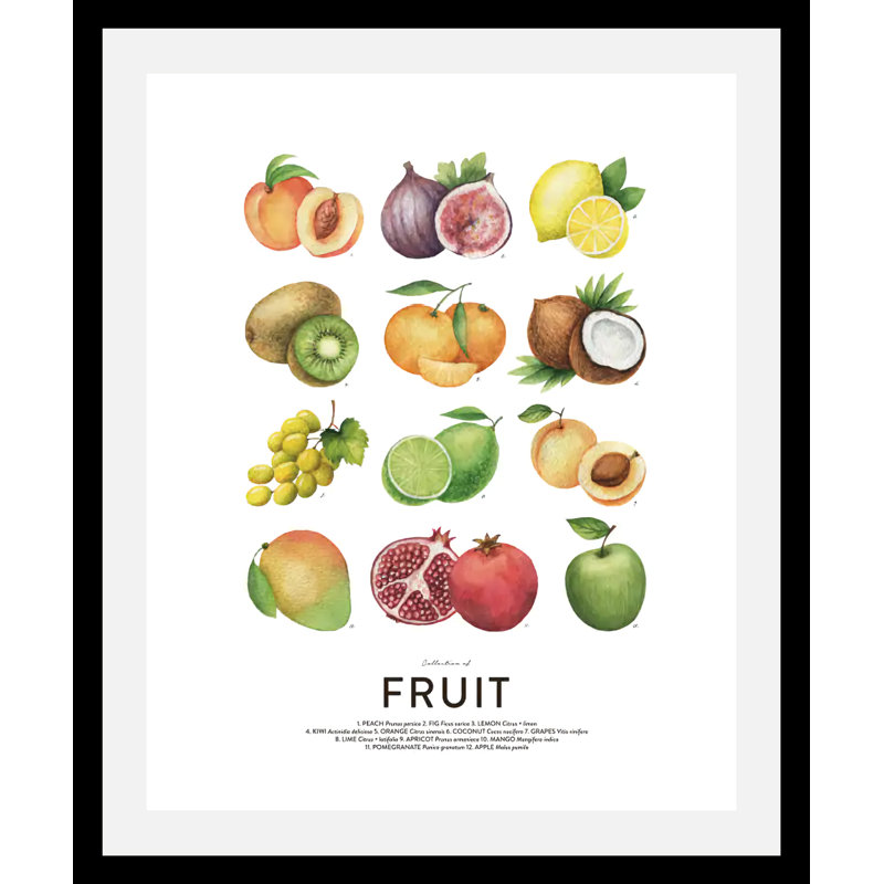 Fruit - Single Picture Frame Print, 70cm H x 50cm W