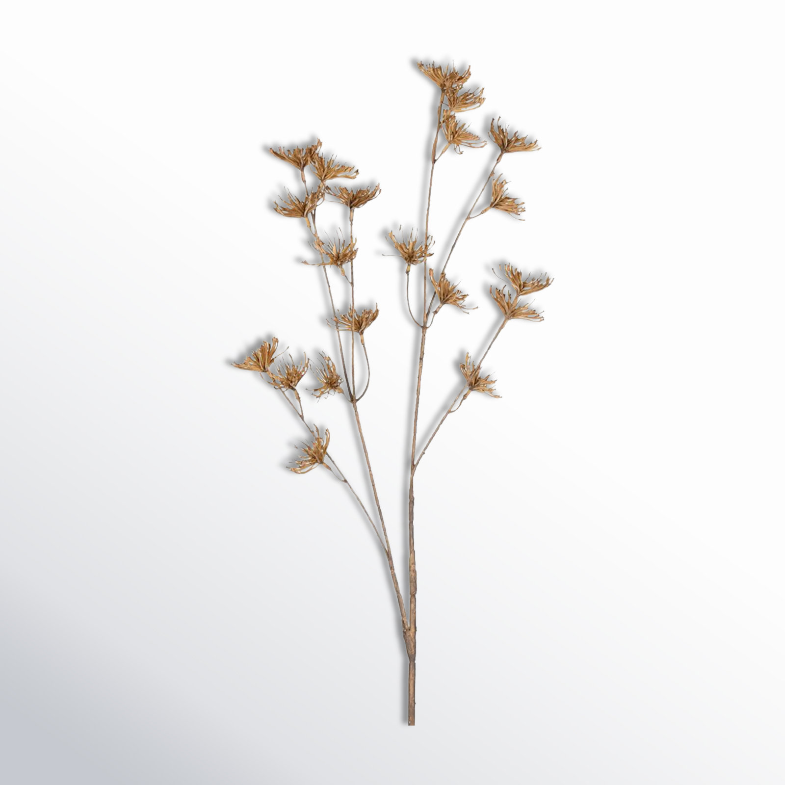 AllModern 4 - Piece Artificial Anna Lace Branch Set