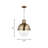 Geoffrey 1-Light Globe Pendant with Steel Fixture-933353558-933353556-933353514