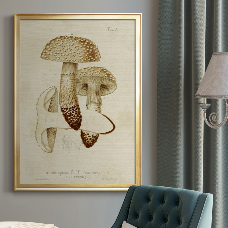 «Mushroom Variétés» - reproduction d'art sur toile, Or, H 42,5 po x l 30,5 po x P 1 po