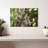 Australian Koala Bears-107922765