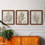 «Sepia Exotic Plants I», ensemble de 3 peintures sur toile encadrées-2017768724-2017768734