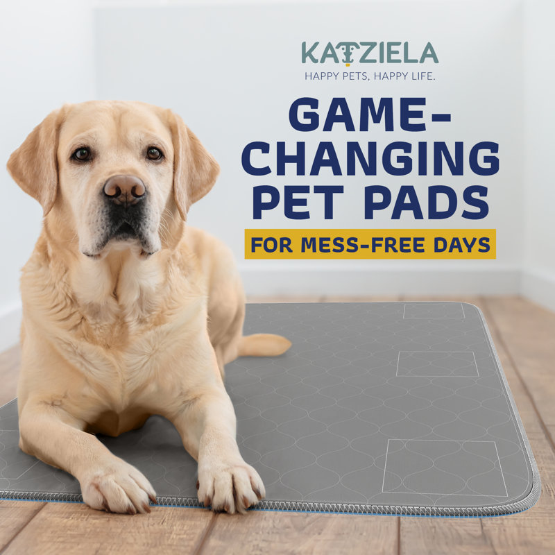 Coussinets pour chiens Katziela, H 1 po x l 34 po x P 52 po 