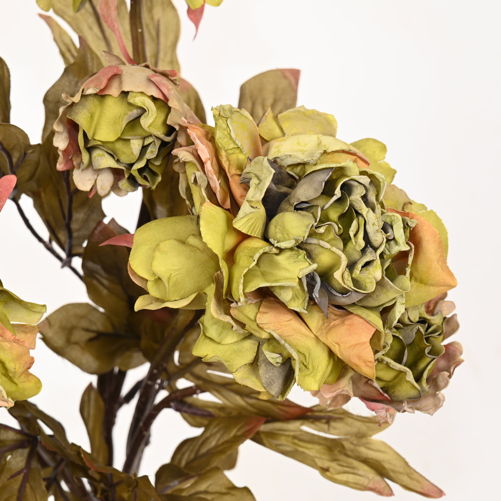 Peony Floral Arrangement, Green