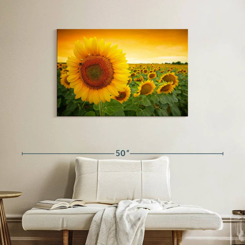 Tournesol Harnek, H 26 po x l 39 po