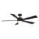 Wynd 5 - Blade Outdoor /Indoor Smart Ceiling Fan with Remote Control and LED Light Kit Included