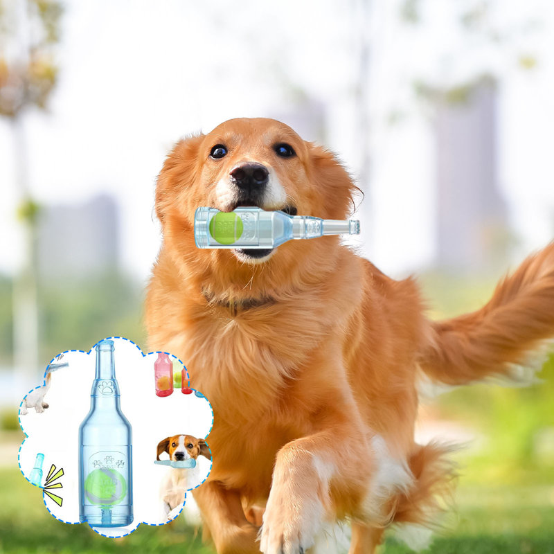 Bouteille d'eau pour chien avec bouteille de mouture Phonation, A
