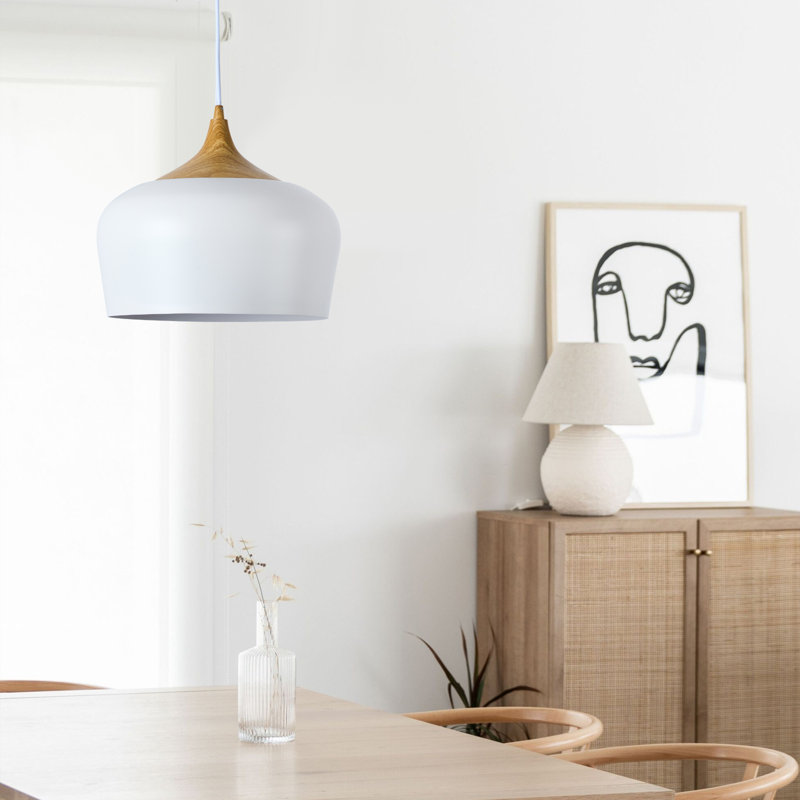 Joyleen - Light Modern Single Pendant