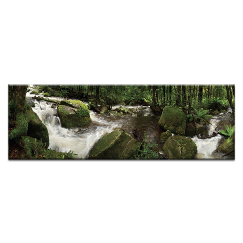 Forest Flow by Andrew Brown - Print on Canvas