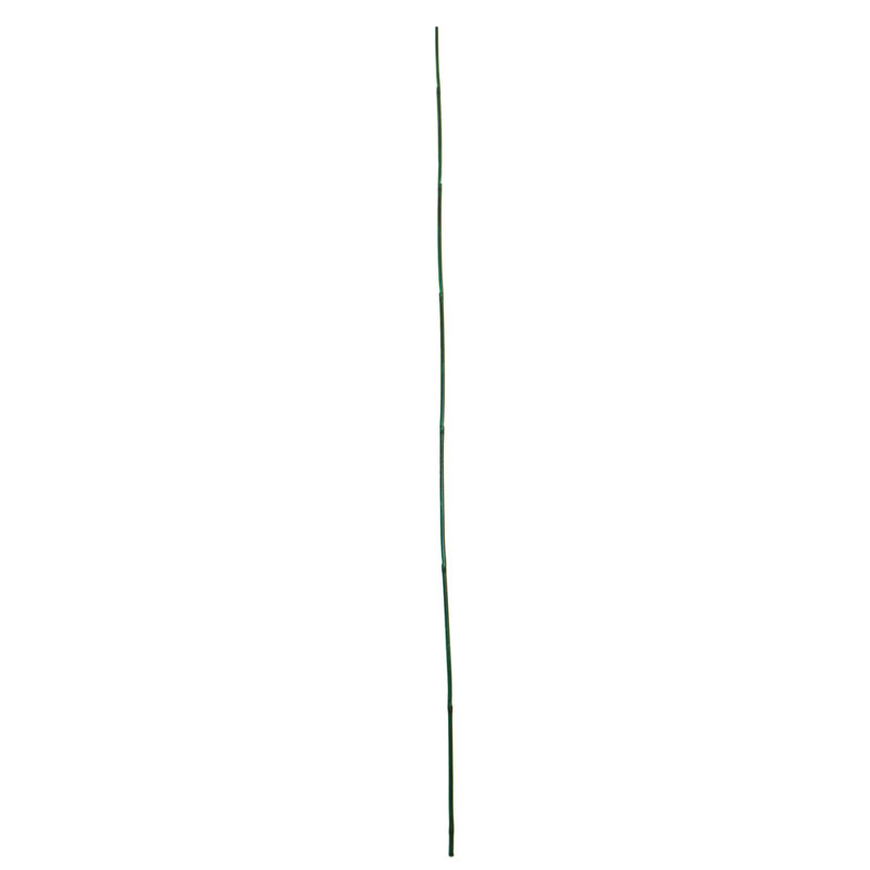 Support de plante de piquet en bambou Neville, H 24 po x l 0,2 po x P 0,39 po