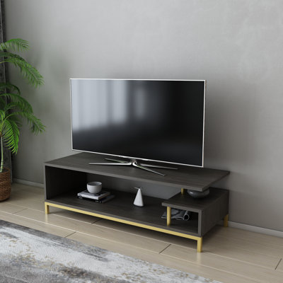 Reily TV Stand for TVs up to 50"
