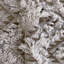 Keishi Graphite-783349588