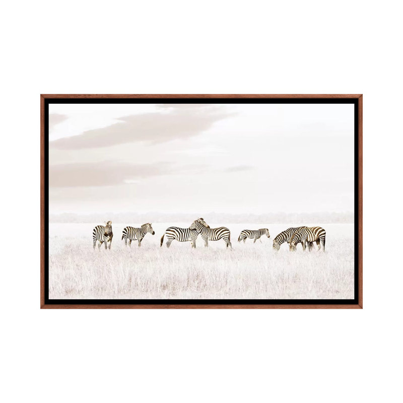 White Zebras by Klaus Tiedge - Print on Canvas, 101.6 cm H x 66.04 cm W, Classic Brown Wood Framed