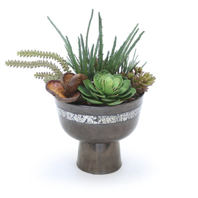 22'' Faux Succulent Plant in Glass Planter