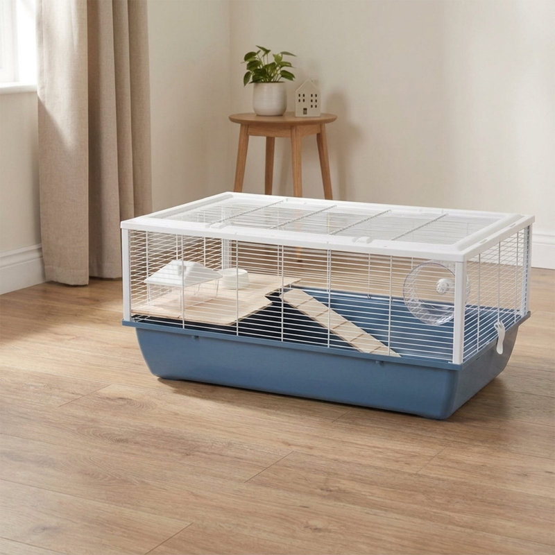 Small Animal, Blue