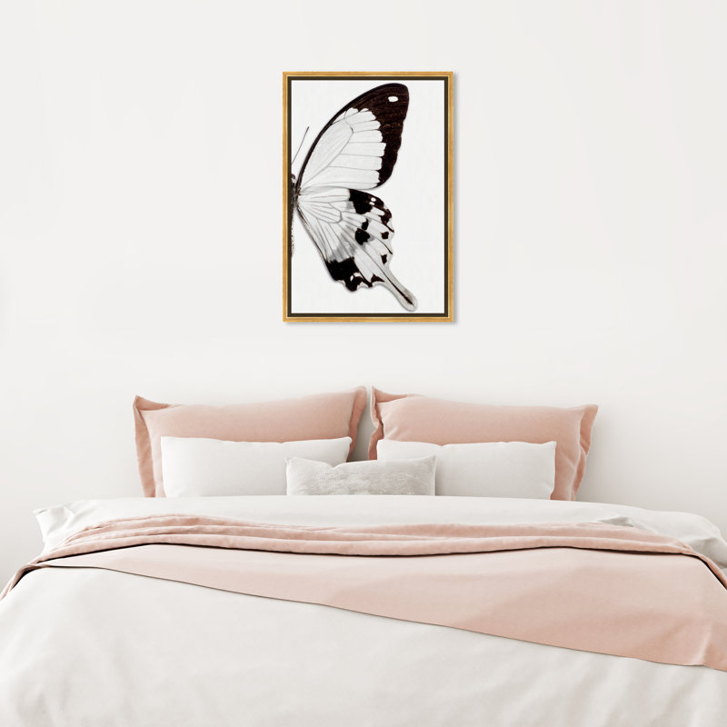 Papillon monochrome II - photographie sur toile, Toile avec cadre doré, H 24 po x l 16 po