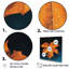 Feuillage tangerine orange érable translucide I-2115139045-2115139054