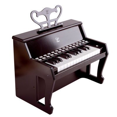 Musical Instrument Toy