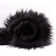 Tapis noir Novelty