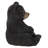 Sitting Black Bear Cub