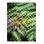 Green Leaves and Multi Color Pattern Woven Base Modern Decorative Machine Washable Area Rug