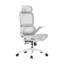 Office Chair with Headrest