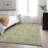 Premium Machine Washable Prisco Aloe Rug-898716319