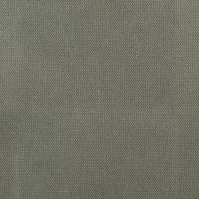 Velours de satin de coton Belvedere-Byron